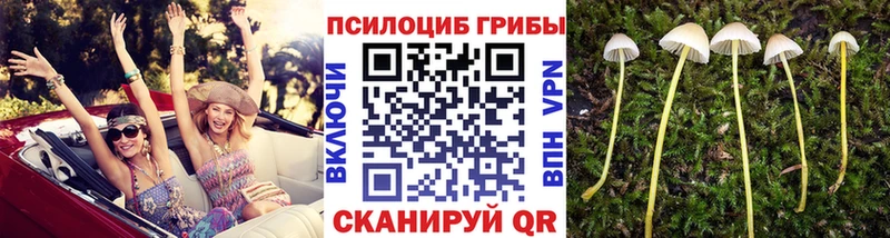 Галлюциногенные грибы мицелий  цены   Липецк 